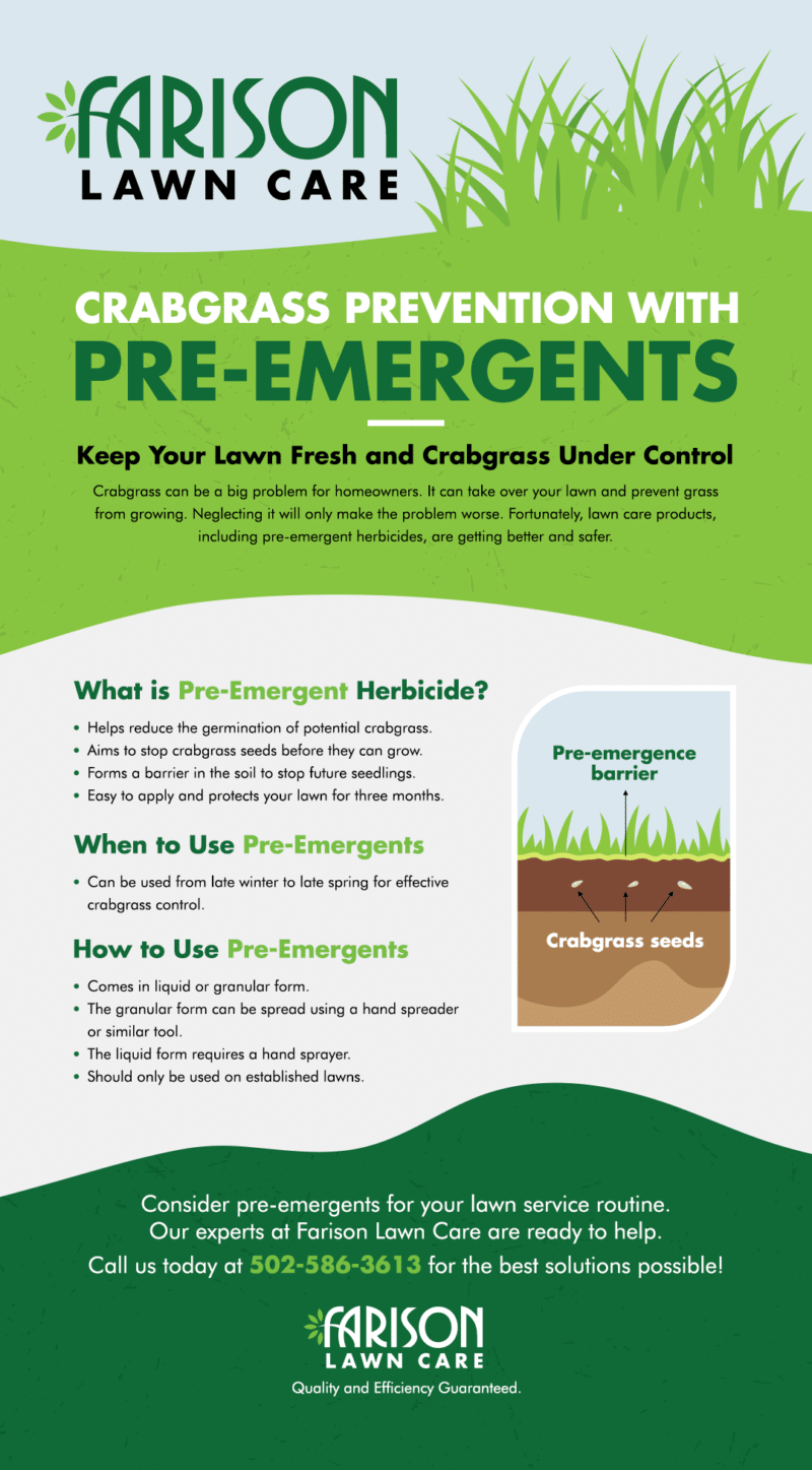 What Is Pre Emergent Herbicide When and How to Apply Them